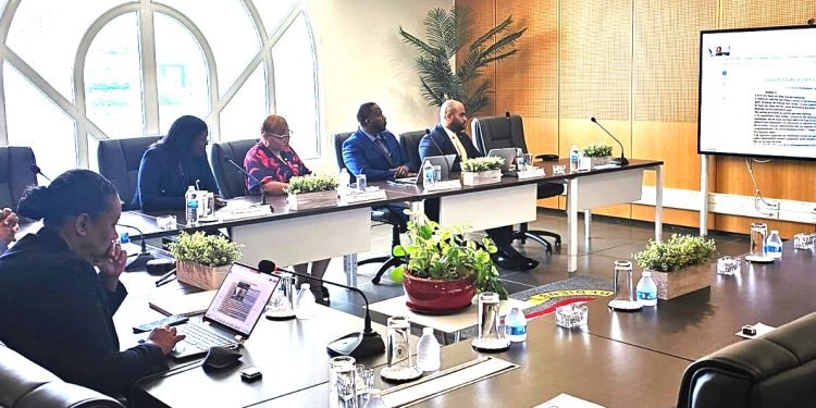 El CoM y los Ministros Plenipotenciarios reciben una presentación de Van der Sluis-Plantz sobre la estructura de gobernanza del Reino