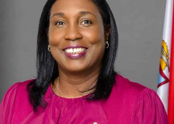 Jansen-Webster proporciona información actualizada sobre el “sumidero” en Cole Bay Hill