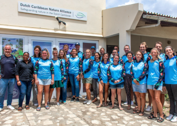 Reviviendo arrecifes: conocimientos del reciente taller de restauración