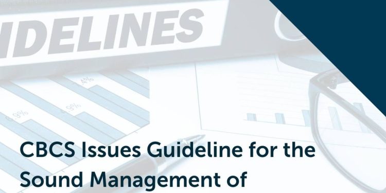 CBCS emite Guía para la Gestión Adecuada del Riesgo Operacional