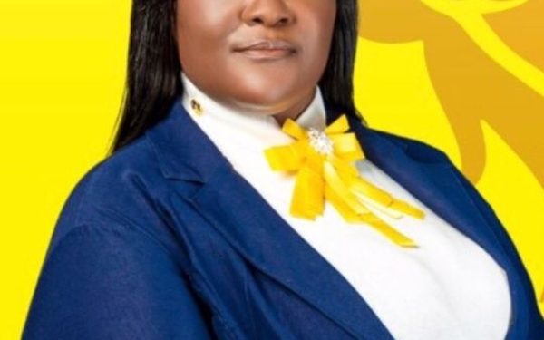 Langlais: Las soluciones medioambientales y energéticas requieren voluntad política