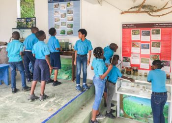 Les Fruits de Mer Association lanza un gran proyecto educativo local en ambos lados de San Martín con financiación de la Fundación Air France