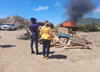 Gran cantidad de drogas y productos ilícitos confiscados destruidos bajo la supervisión de las fuerzas del orden