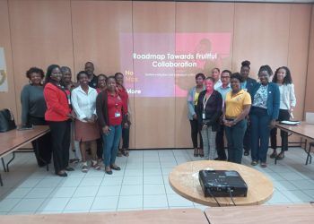 Reunión exitosa sobre violencia doméstica y abuso infantil organizada por No Mas No More y partes interesadas clave