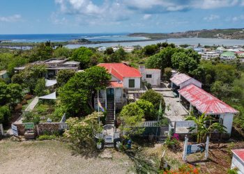 Se realiza Festival de las Aves Migratorias en el Amuseum Naturalis
