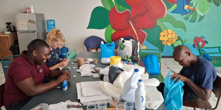 ¡Únase al Proyecto Plásticos Perpetuos de EPIC!