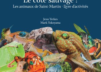 La asociación Les Fruits de Mer lanza este sábado un nuevo libro de actividades sobre la fauna local con un sorteo gratuito financiado por la Fundación Air France