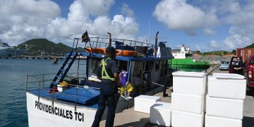 Más de 60,000 anguilas en peligro de extinción confiscadas durante el control del tráfico de vida silvestre