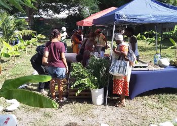 SMFC agradece a la comunidad por su continuo apoyo y les desea a todos unas Felices Fiestas