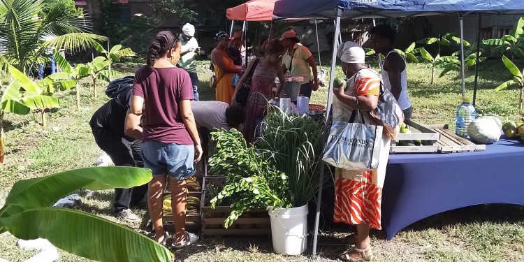 SMFC agradece a la comunidad por su continuo apoyo y les desea a todos unas Felices Fiestas