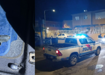 Resumen de actividades en el período navideño 2024