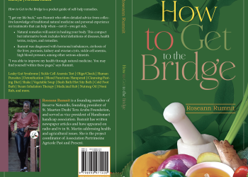 Cómo llegar al Puente, un nuevo libro de “Salud Personal” “Publicado en St. Martin