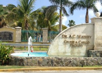 Accidente fatal en las instalaciones de cruceros de A.C. Wathey