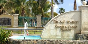 Accidente fatal en las instalaciones de cruceros de A.C. Wathey