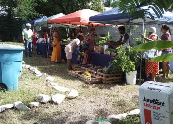 SMFC reubica el mercado de agricultores en el Community Center de St Peters