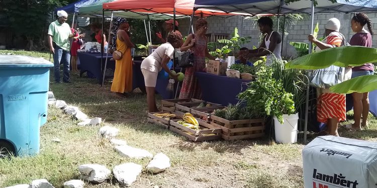 SMFC reubica el mercado de agricultores en el Community Center de St Peters