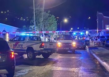 La Policía investiga el ataque de pitbulls a dos menores en St. Peters