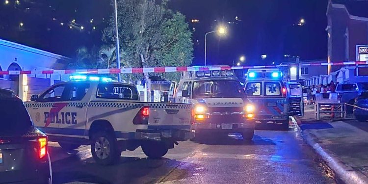 La Policía investiga el ataque de pitbulls a dos menores en St. Peters