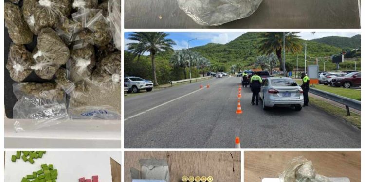 Los controles de tráfico y seguridad general dan lugar a múltiples arrestos