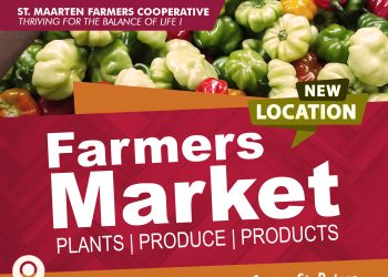 Mercado de agricultores de SMFC: los desafíos te permiten crecer