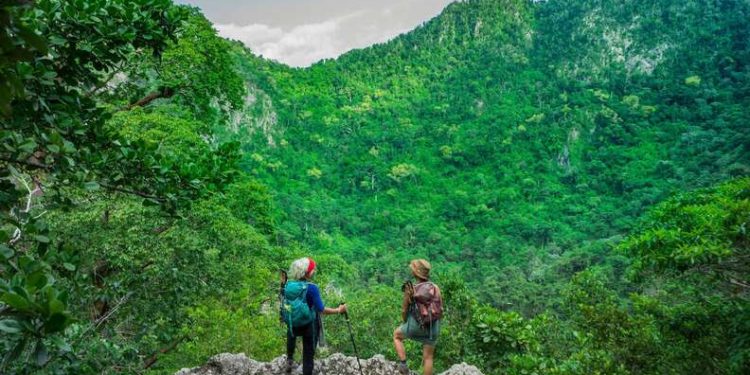 Guía de la isla de St. Eustatius y el Parque Nacional Quill en el Caribe Thrillist