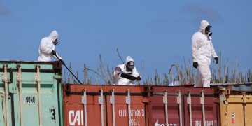 Sentencia: el Tribunal confirma la urgencia en Selibon y atribuye la responsabilidad al Consejo Ejecutivo