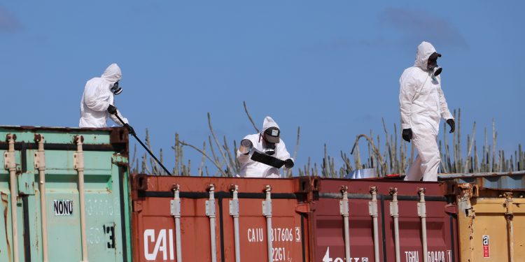 Sentencia: el Tribunal confirma la urgencia en Selibon y atribuye la responsabilidad al Consejo Ejecutivo