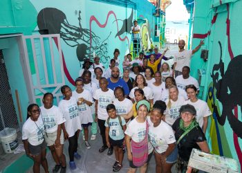 Gran apoyo comunitario para el proyecto del callejón