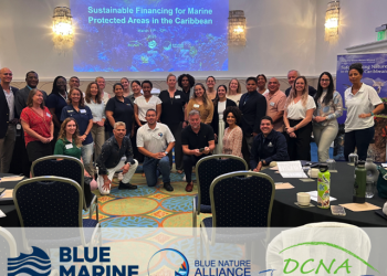 Naciones del Caribe se unen para impulsar el financiamiento de la conservación marina en un taller en Curaçao