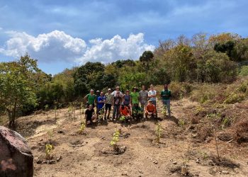 El plan de paisajismo del jardín botánico de Statia está en marcha: comienza el primer proyecto de Statia 2026
