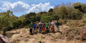 El plan de paisajismo del jardín botánico de Statia está en marcha: comienza el primer proyecto de Statia 2026