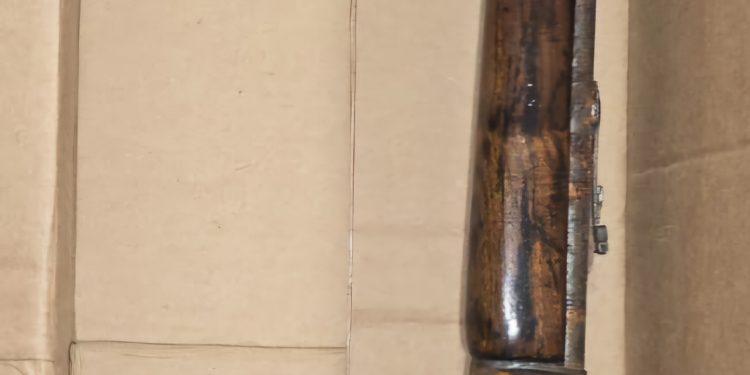 Entrega de armas de fuego adicionales en el marco del programa “Detenerse, Tirarse y Salir”