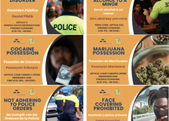 El KPSM insta al público a celebrar con seguridad el Carnaval 2025