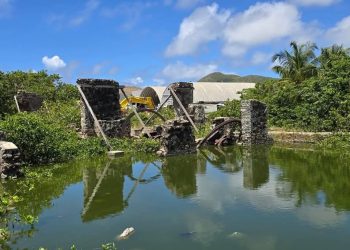 Limpieza de la procesadorade Sal FOGA