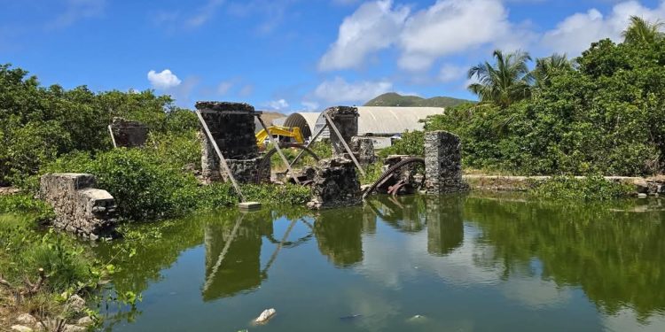 Limpieza de la procesadorade Sal FOGA