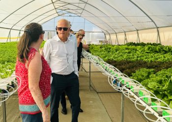 Mayor papel del sector empresarial para la autosuficiencia en las zonas caribeñas del Reino