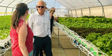 Mayor papel del sector empresarial para la autosuficiencia en las zonas caribeñas del Reino