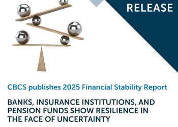 El CBCS publica el Informe de Estabilidad Financiera 2025