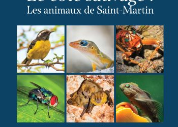 La Asociación Les Fruits de Mer lanza este sábado libros actualizados sobre la fauna local con un sorteo gratuito financiado por la Fundación Air France