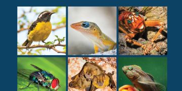 La Asociación Les Fruits de Mer lanza este sábado libros actualizados sobre la fauna local con un sorteo gratuito financiado por la Fundación Air France