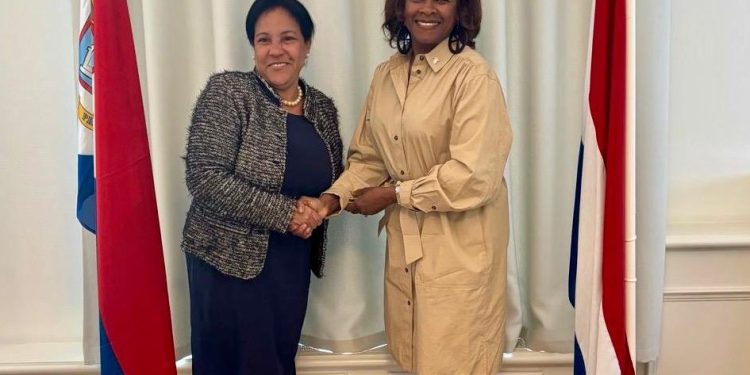 La Ministra Plenipotenciaria Arrindell se reúne con la Embajadora cubana Silva Walker