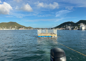 EPIC lanza un hábitat temporal de anidación para aves vulnerables