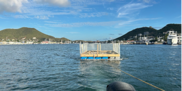 EPIC lanza un hábitat temporal de anidación para aves vulnerables