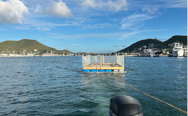 EPIC lanza un hábitat temporal de anidación para aves vulnerables