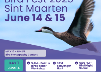 Primer Festival de Aves de Sint Maarten: un fin de semana para celebrar la conservación de las aves en la isla
