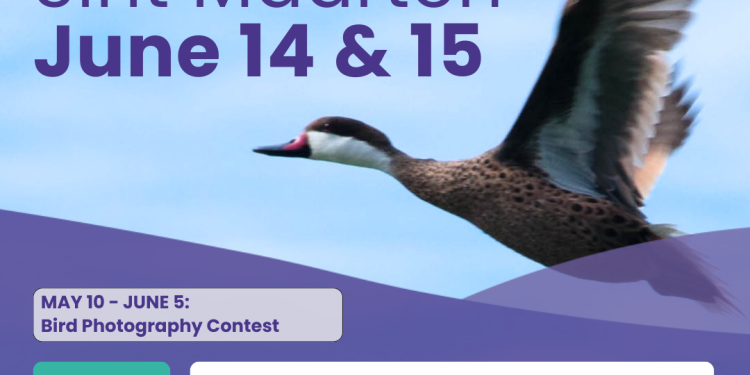 Primer Festival de Aves de Sint Maarten: un fin de semana para celebrar la conservación de las aves en la isla