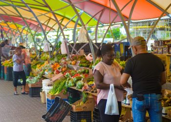 Nuevas formas de financiar la investigación climática
