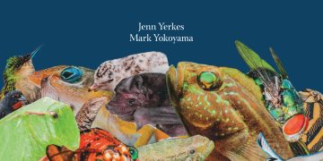 Les Fruits de Mer y la Fundación Air France llevan educación local a 10,000 estudiantes en ambos lados de Saint Marten