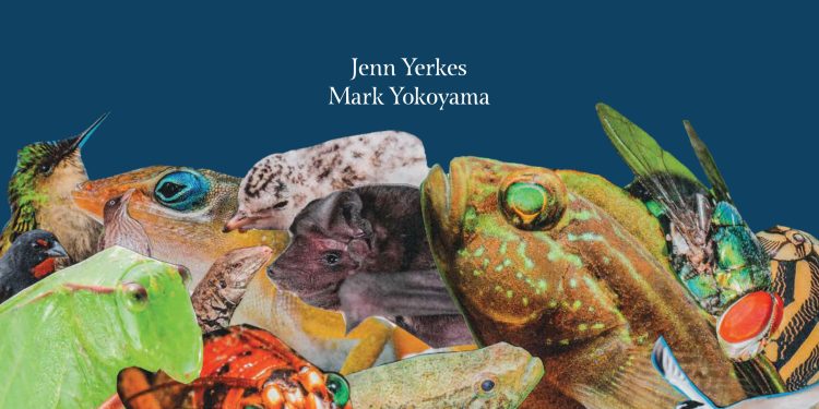 Les Fruits de Mer y la Fundación Air France llevan educación local a 10,000 estudiantes en ambos lados de Saint Marten