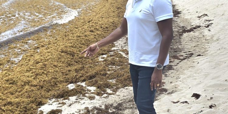 El Parlamentario Lyndon Lewis insta al gobierno a abordar la preocupación por el sargazo y proteger la imagen turística de St. Maarten